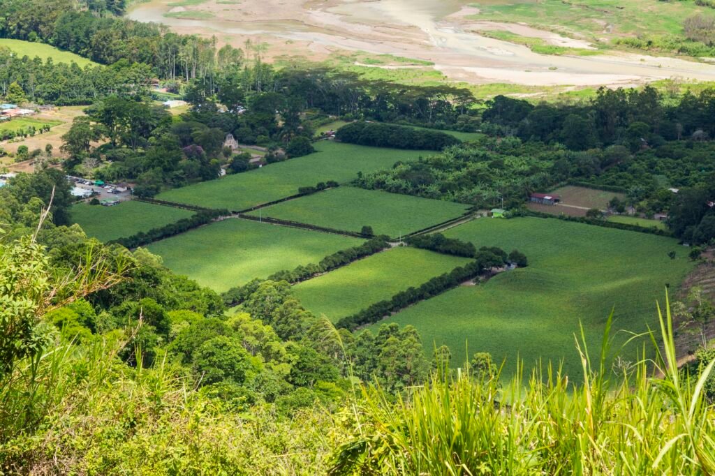 beautiful-green-field-costa-rican-countryside